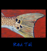 Red Tail - 30x48 Acrylic on Stretched Canvas with Image Wrap Border - Painting by Greg Schwab