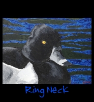 Ring Neck - 30x40 Acrylic on Stretched Canvas with Black Gallery Wrap Border - Painting by Greg Schwab