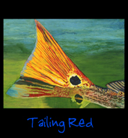 Tailing Red - 36x48 Acrylic on Stretched Canvas with Aqua Green Gallery Wrap Border - Painting by Greg Schwab